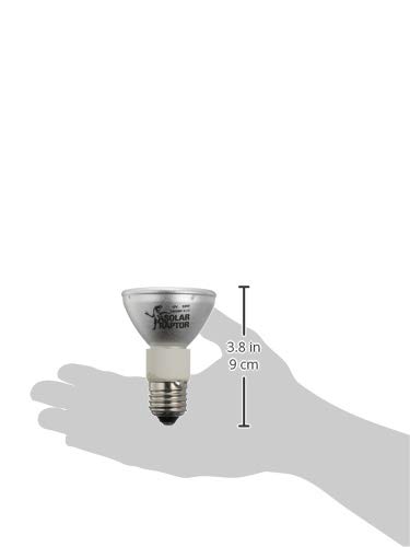 SOLAR RAPTOR HIDランプセット 35W ソーラーラプター ソーラーラプターHIDランプ35W ゼンスイ 爬虫類用メタハラ 販売 通販